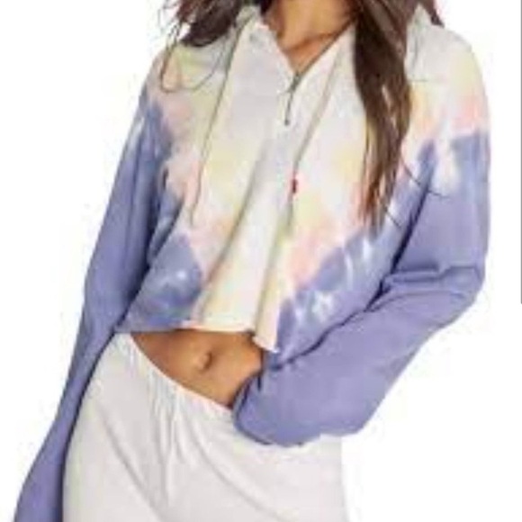 NWT WILDFOX SET edelweiss wash Hadley hoodie/know jogger set size S/M - Picture 4 of 13